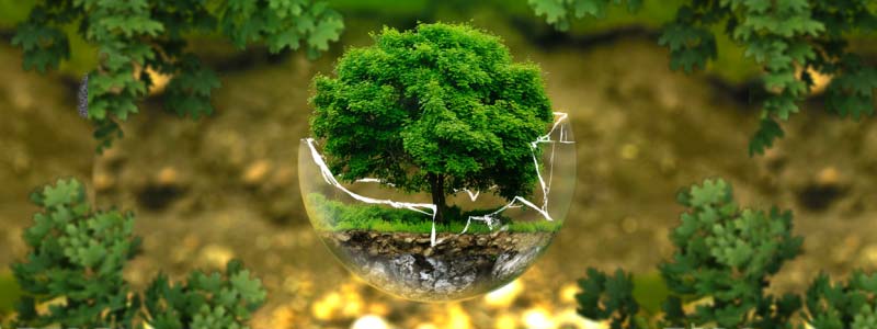 calculo-huella-ambiental Cálculo huella ambiental